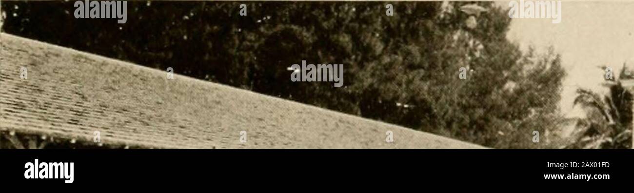 Viaggi invernali nel sud; impressioni di penna e macchina fotografica di uomini, maniere, donne e cose tutto il senso dal Golfo blu e New Orleans attraverso le palme alla moda Florida ai pini della Virginia. BAGNI di StTRF, MIAMI. Foto Stock