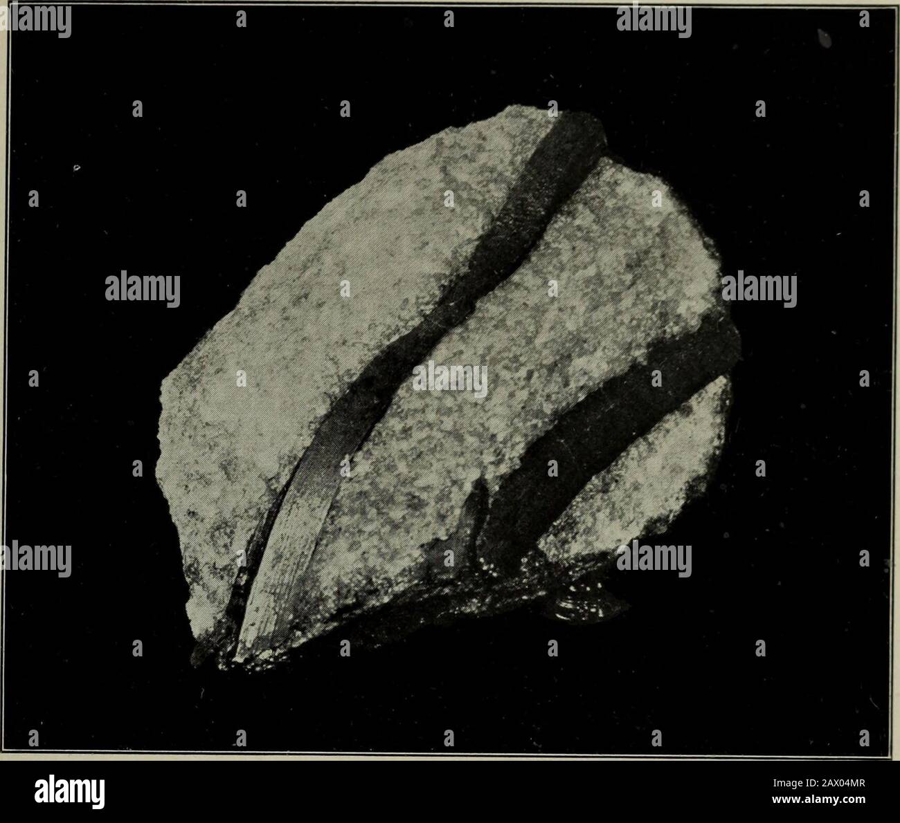 Una guida popolare ai minerali : con i capitoli sulla Bement Collection of minerals nel Museo Americano di Storia Naturale, e lo sviluppo della mineralogia . acidi, in congiunzione con l'acqua, che ancora una volta per ulteriore Unione con le basi formano i solfati, fosfati, nitrati, borati, arseniati, antimonidi, vana-datteri, ecc., e, cosa più importante di tutti, i silicati. I silicati sono un vasto gruppo di composti minerali che infrangono la porzione più grande e la porzione più ampiamente distribuita di min-als, e quei composti sono stati interpretati e classificati in una serie di sub, mono, A. Foto Stock