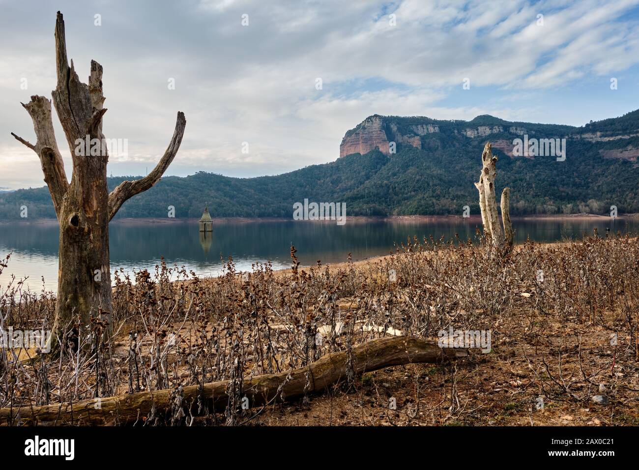 Due alberi morti nella palude di Sau con villaggio sommerso, Catalogna Foto Stock