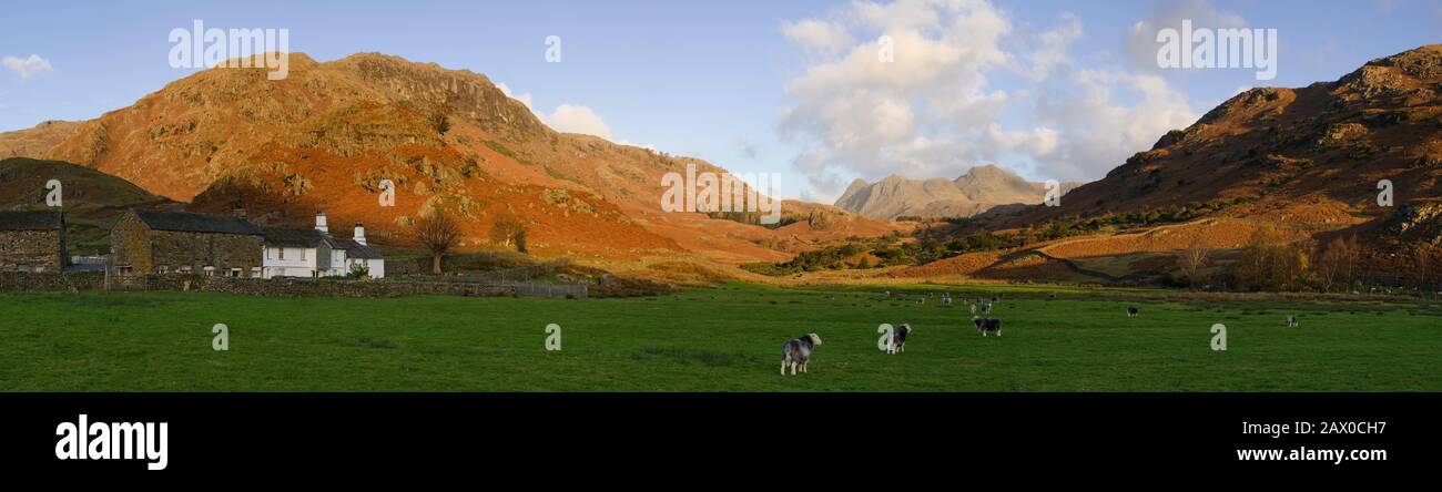 The Langdale Pikes From Fell Foot Farm, Lake District National Park, Cumbria, Inghilterra Foto Stock