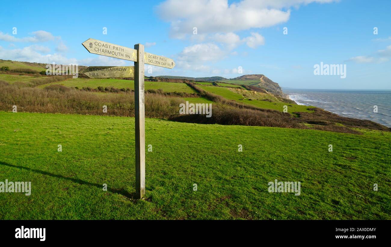 Vista verso Golden Cap, Dorset, Inghilterra, sul South West Coastal Path. Foto Stock