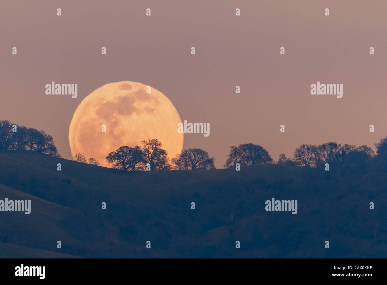 Luna piena che sorge da dietro una collina nella catena montuosa del Diablo, nella zona della Baia di San Francisco Sud, San Jose, California; distorsione visibile dovuta a hea Foto Stock