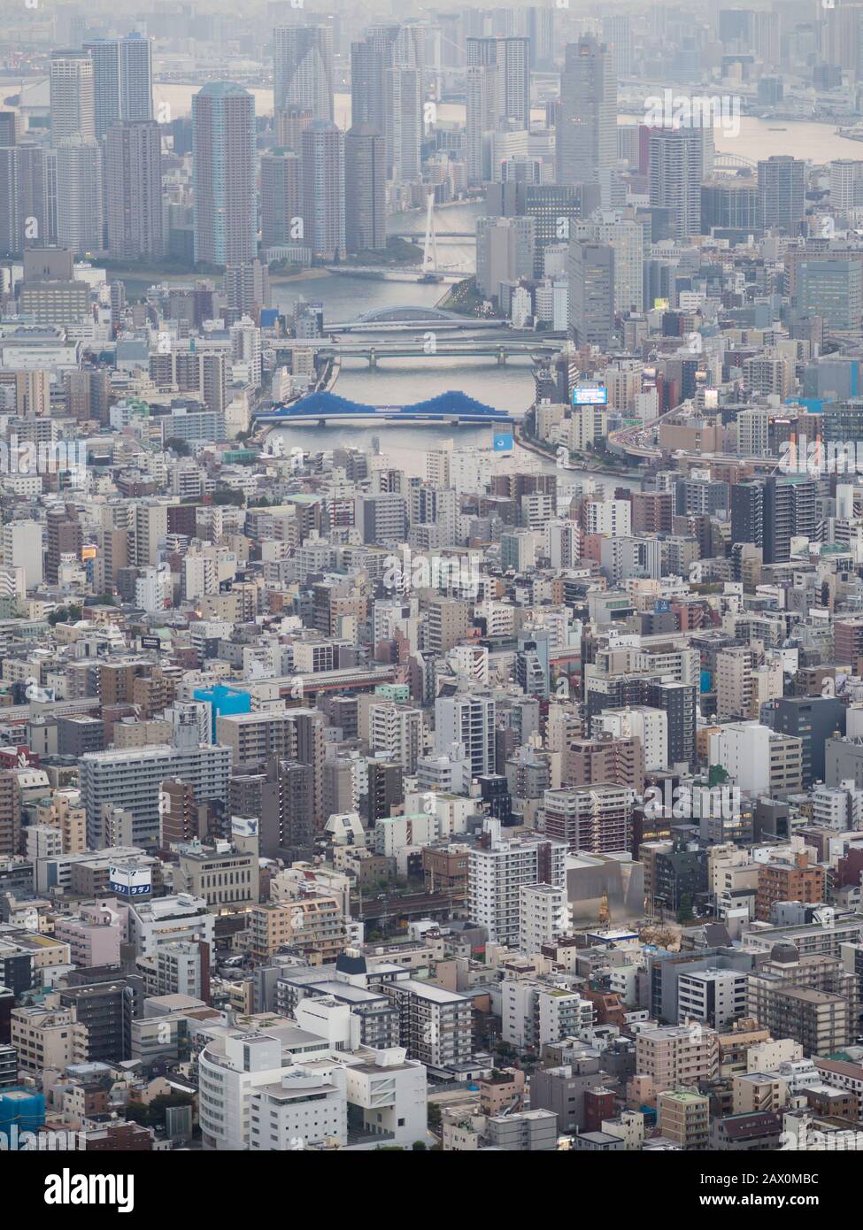 Tokyo, Giappone - 10 ottobre 2018: Vista sopraelevata dell'area metropolitana di Tokyo e dello skyline della città. Foto Stock