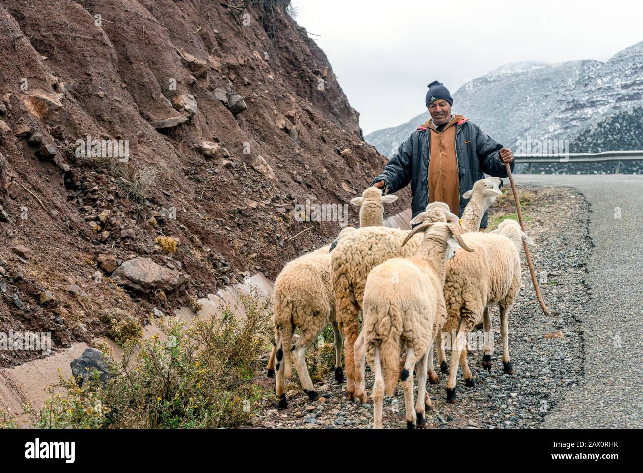 Tighedouine, Marocco - 16 gennaio 2020: Pastore berbero con il suo gregge nella remota montagna dell'Alto Atlante Foto Stock