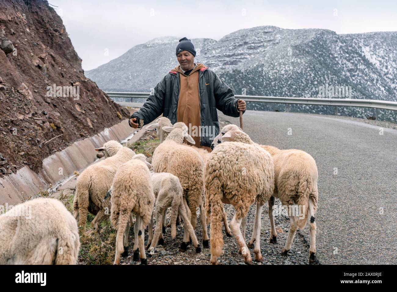 Tighedouine, Marocco - 16 gennaio 2020: Pastore berbero con il suo gregge nella remota montagna dell'Alto Atlante Foto Stock