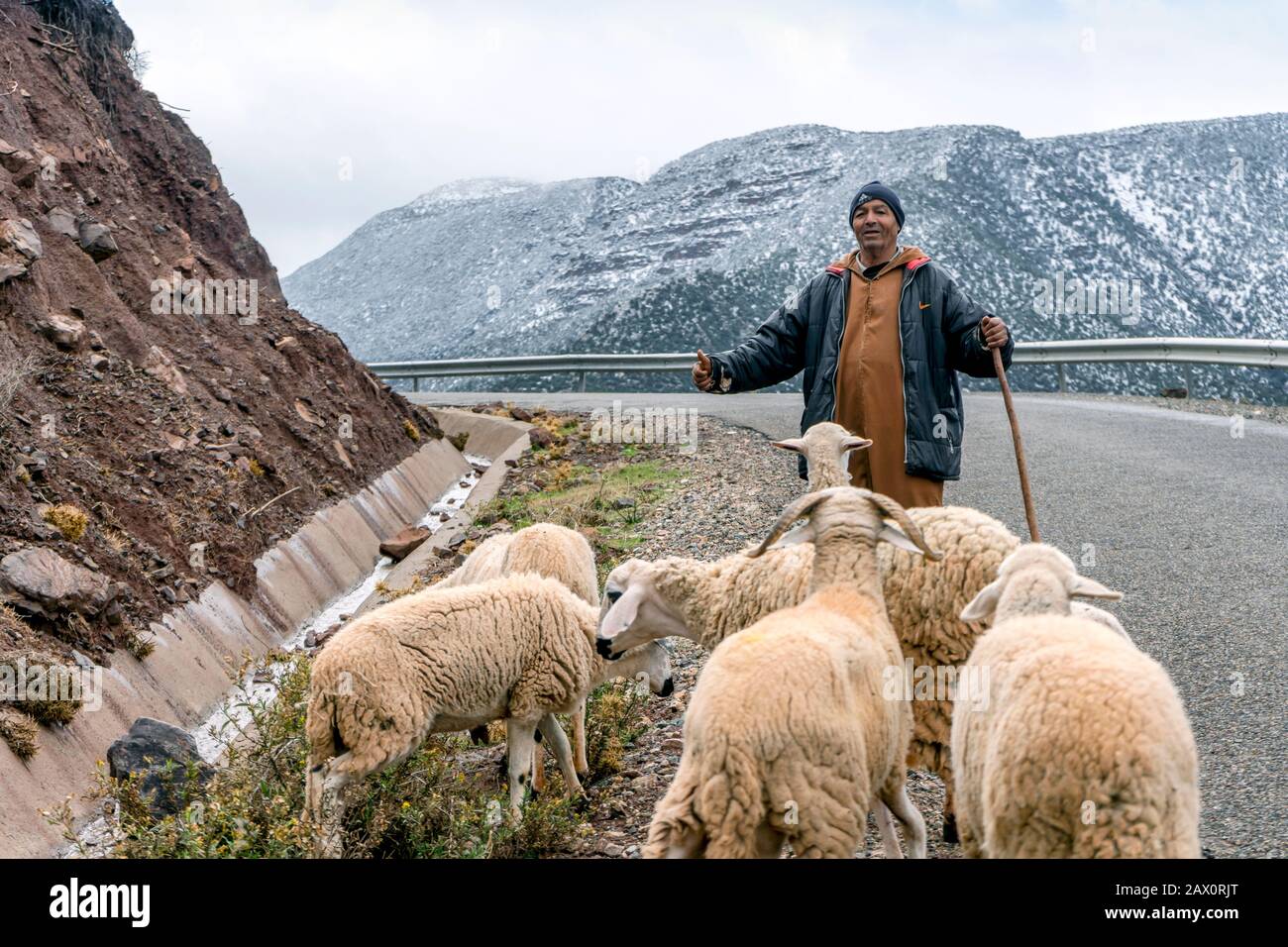 Tighedouine, Marocco - 16 gennaio 2020: Pastore berbero con il suo gregge nella remota montagna dell'Alto Atlante Foto Stock