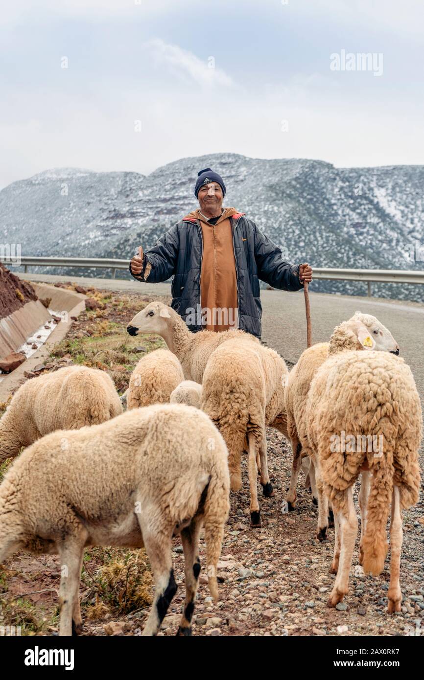 Tighedouine, Marocco - 16 gennaio 2020: Pastore berbero con il suo gregge nella remota montagna dell'Alto Atlante Foto Stock