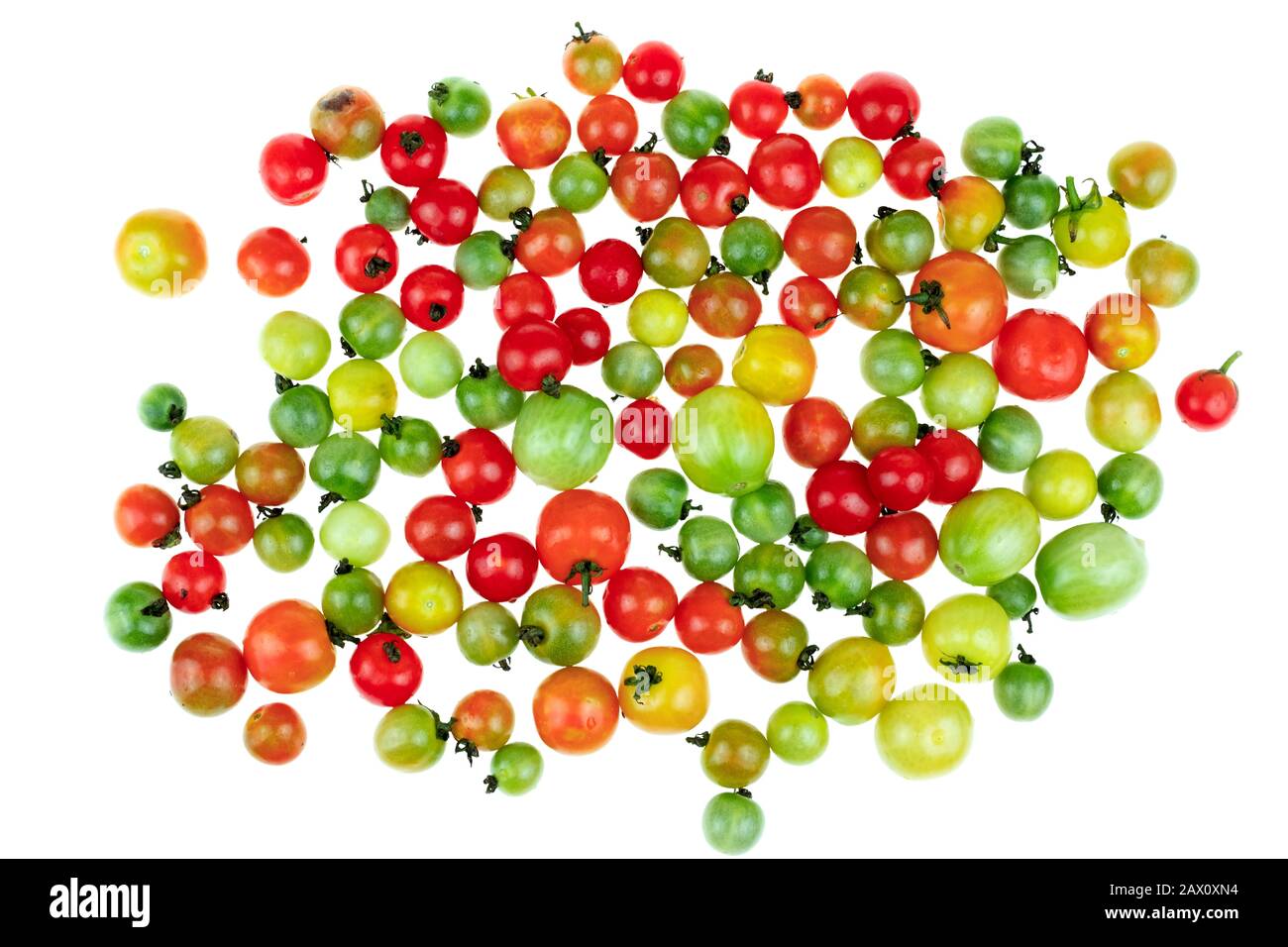 Top view Wild Tomato o Love Apple è un tipo di piccoli pomodori rotondi su sfondo bianco, nome scientifico Lycopersicum esculentum Mill Foto Stock