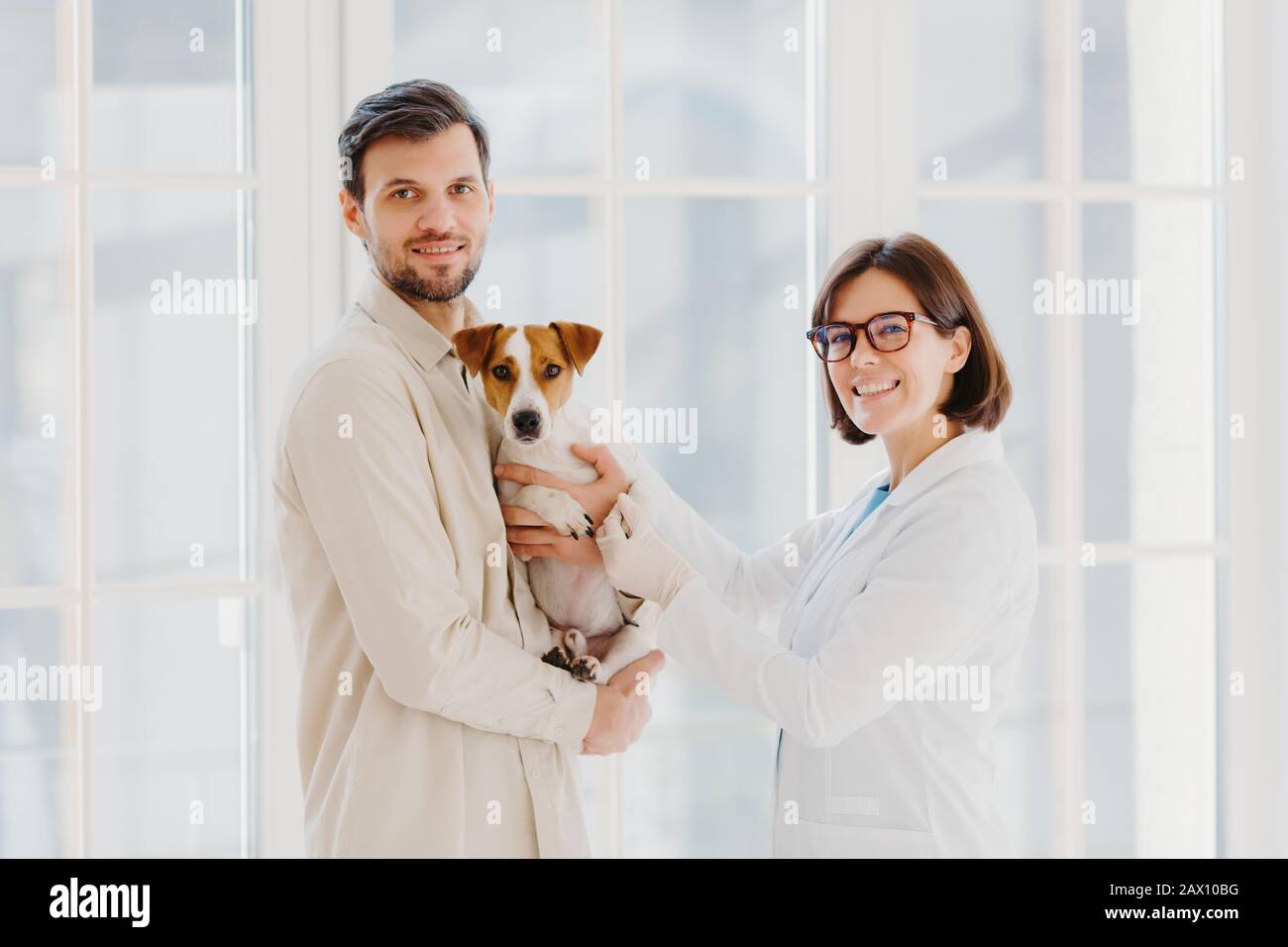 Vetarinary e il concetto di salute animale. Felice sorridente femmina cura di veterinario circa la salute dei cani, andando esaminare il cric russell Terrier, parla con il cliente, w Foto Stock