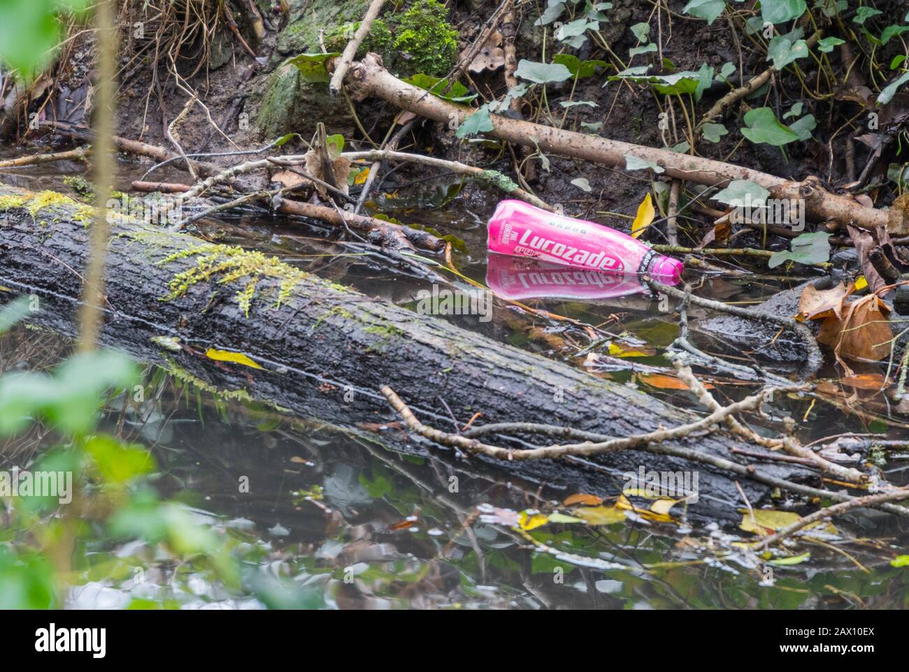 Bottiglia di plastica scartata gettata via, seduta in acqua in un piccolo ruscello. Inquinamento da rifiuti di plastica. Foto Stock