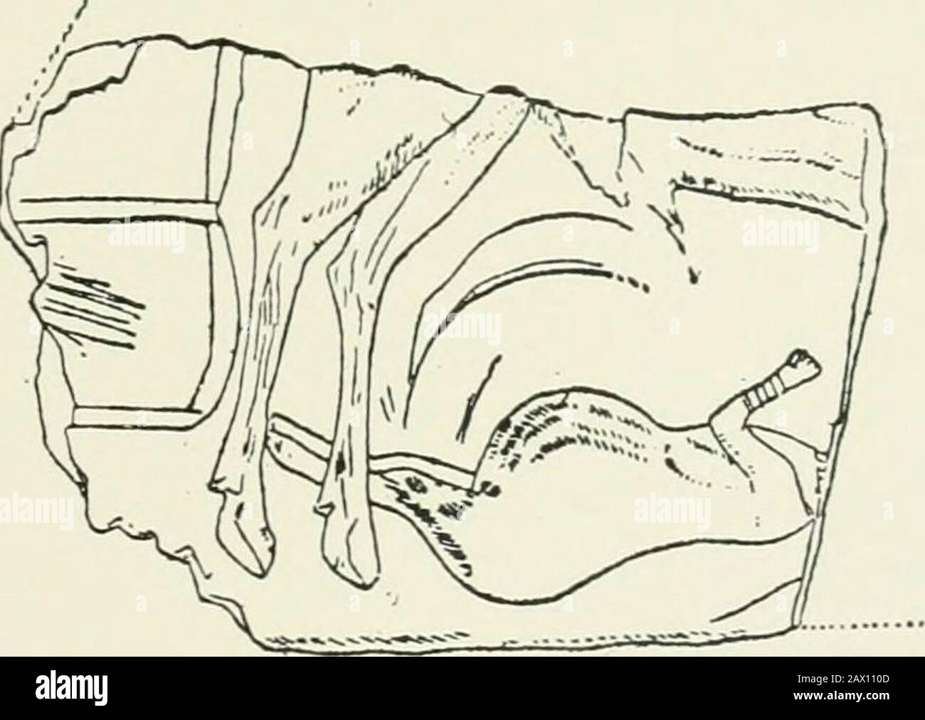 Un'introduzione allo studio dell'arte preistorica . Fig. 96.-incisione sul clacson. Laugerie basse. Piccole linee parallele su di esso sono state prese per mostrare che thatit era molto peloso, e indicando ai caverna-abitanti del PaLxolithic che sono stati una corsa più pelosa dei loro presentsuccessori. Linee sul polso del braccio sollevato si suppone che rappresentino bracciali.- Sul lato opposto sono incise la testa e le spalle di un cavallo (Fig. 96). Non si deve tralasciare il riferimento alle incisioni del braccio Jnmian e di arpooni di corno di renna ob- ^ Musee Prehistorique, Fig. 203. - VAnthropologie, v., Piatto I. Foto Stock