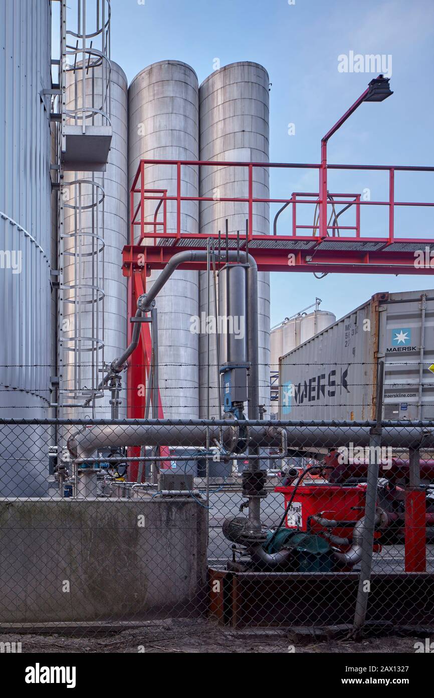 Bio Diesel di produzione vegetale, Kampen, Paesi Bassi. Foto Stock