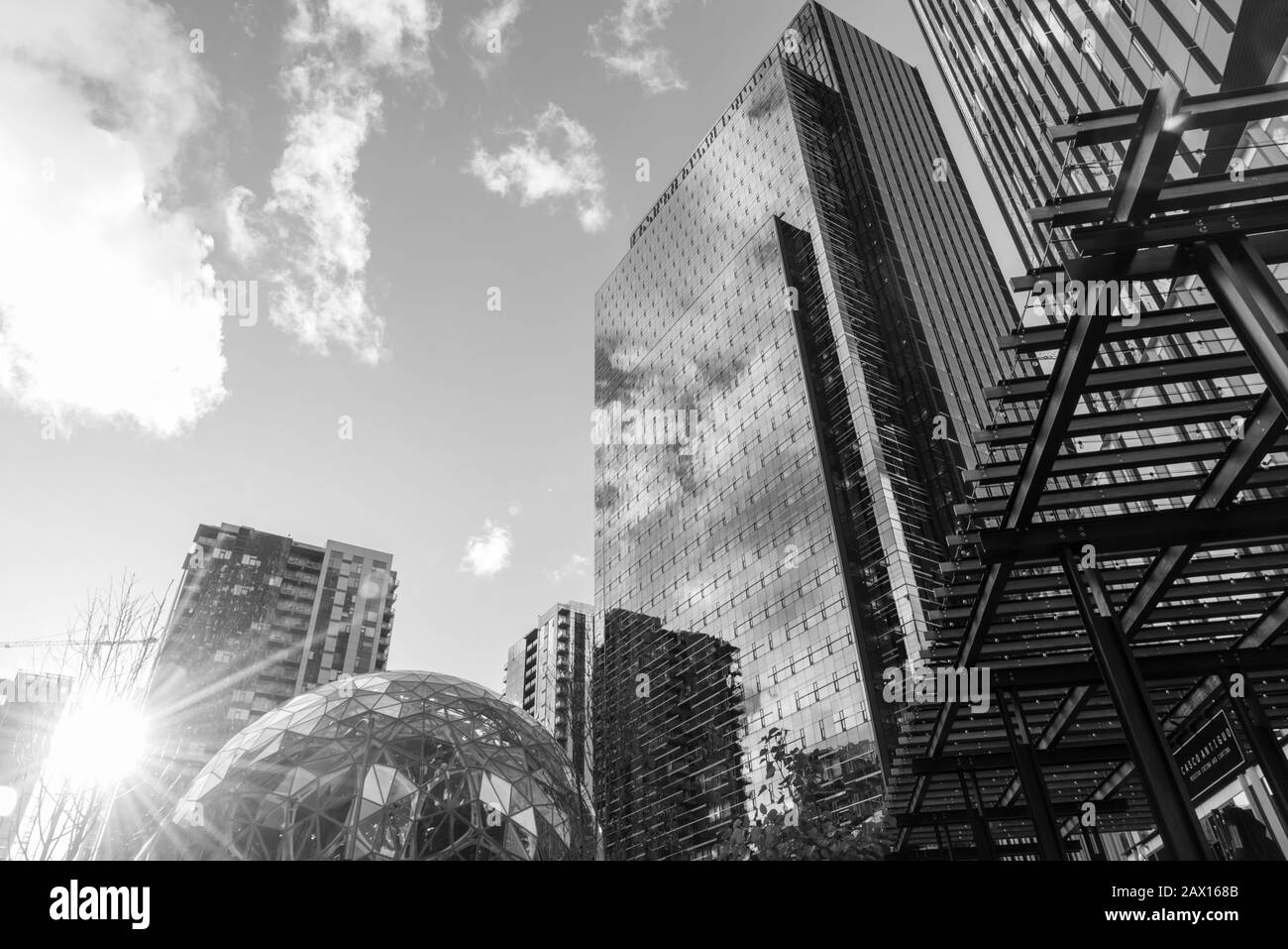 In bianco e nero, guarda le nuove torri degli uffici della sede centrale del mondo Amazon nel centro di Seattle con Sfere e riflessi solari. Foto Stock