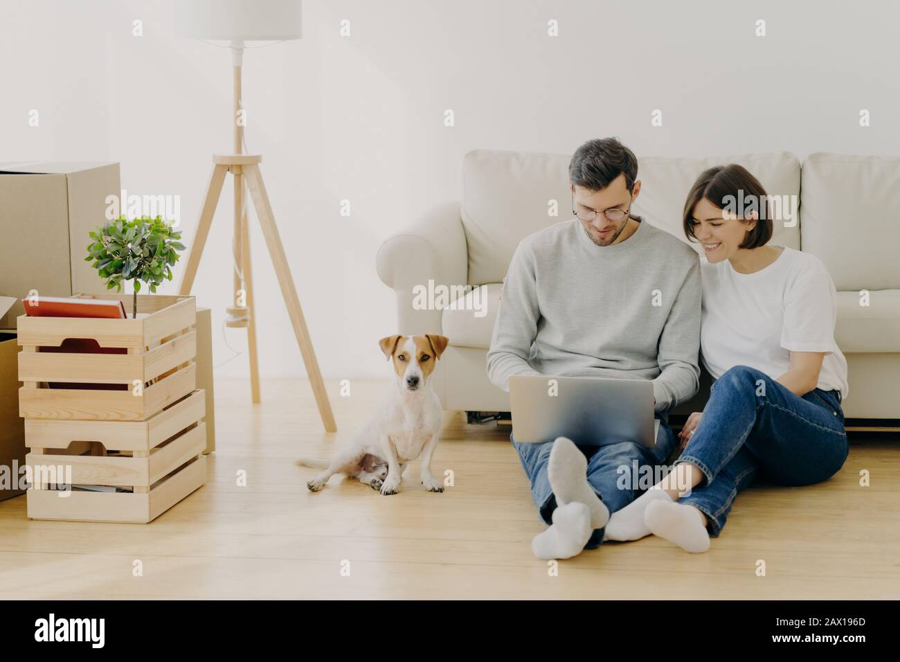 Giovane coppia europea di famiglia rilassarsi durante la ristrutturazione casa, concentrata nel computer portatile, piano di ristrutturazione, sedersi vicino divano con il cane pedigree preferito, Foto Stock