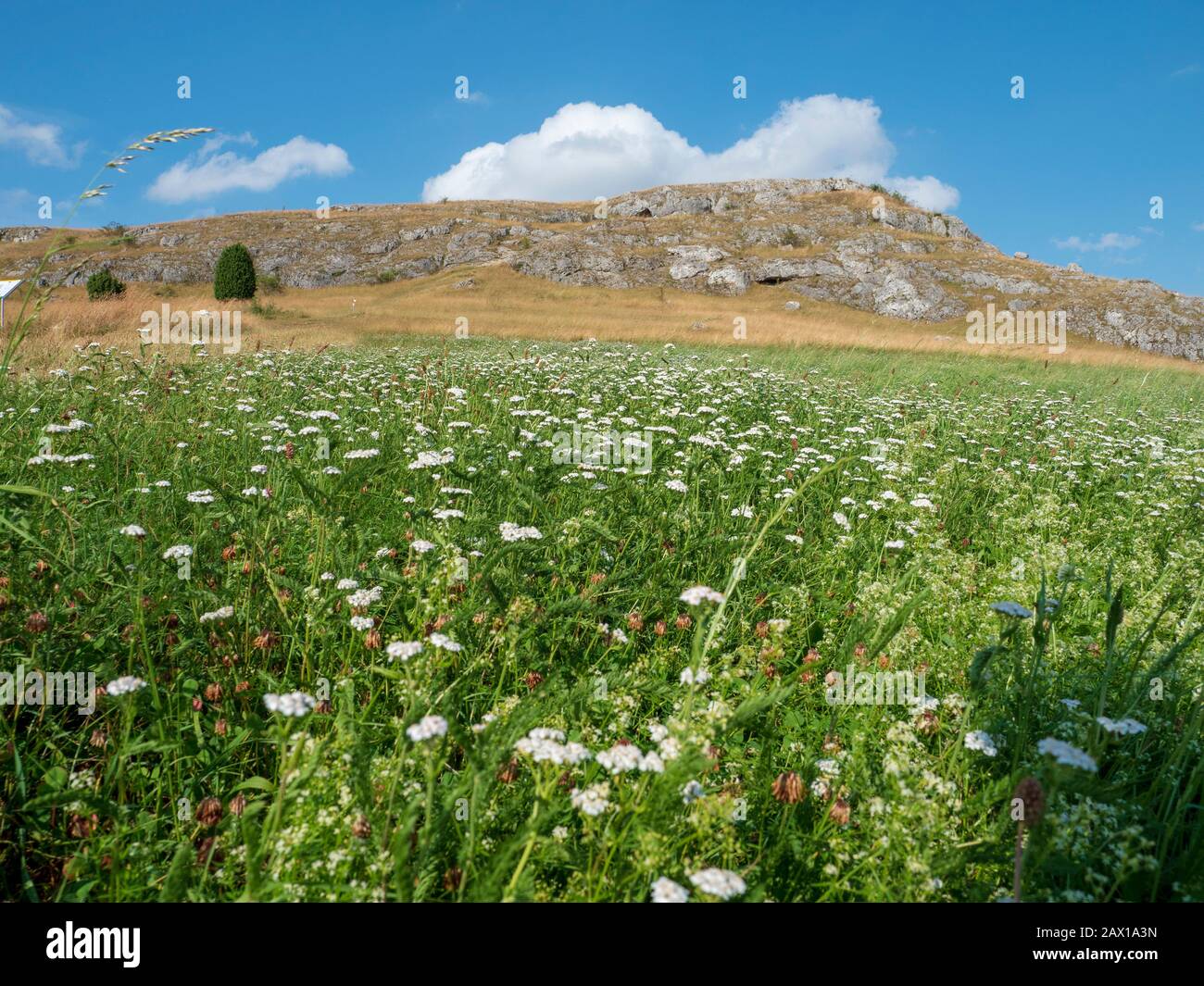 Riegelberg Bei Holheim, Nördlinger Ries, Franken, Bayern, Deutschland | Riegelberg Vicino Holheim, Noerdlinger Ries, Franconia, Baviera, Germania Foto Stock