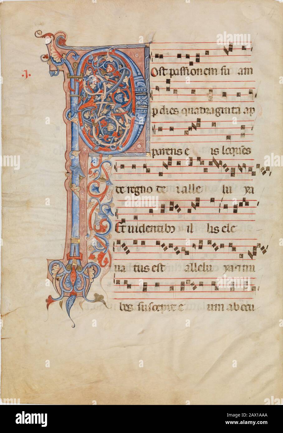 Manoscritto foglia con Foliated Iniziale P, da un Antifonario, ca. 1250-60. Foto Stock