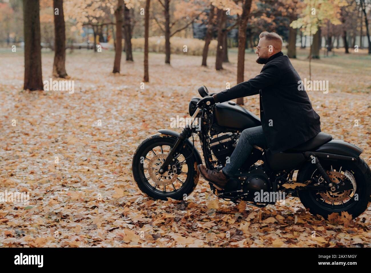 Colpo orizzontale di biker bearded in azione o movimento contro il parco durante l'autunno, andando raggiungere rapidamente destinazione, indossa occhiali da sole, giacca, Foto Stock