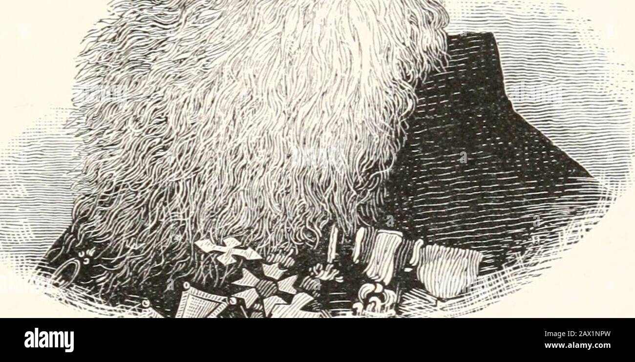Inventori . - m &. t2^«p ••&gt;••/•. .^KM1^: .«•-•. -: Wjjjffr- „, ;. ;(:v/f ^IIIM^ife^^^ifi S. F. B. Morse. Governò il suo gregge spietato con un lungo sonaglino che raggiunse la piccola stanza in cui era raccolta. Una delle sue punizioni è stata la pin-ning il colpevole al suo proprio vestito, e Morse ri-segni che i suoi primi tentativi di disegno sono stati discouraged in questo modo. Forse il fatto che egli ha scelto il vecchio volto dei ladvs come modello aveva j qualcosa: A che fare con esso. All'AS:c di sette, egli o 8 INVENTORI fu inviato a scuola ad Anclovcr, dove sprecò per entrare in Phillips Academy, e prepareher Foto Stock