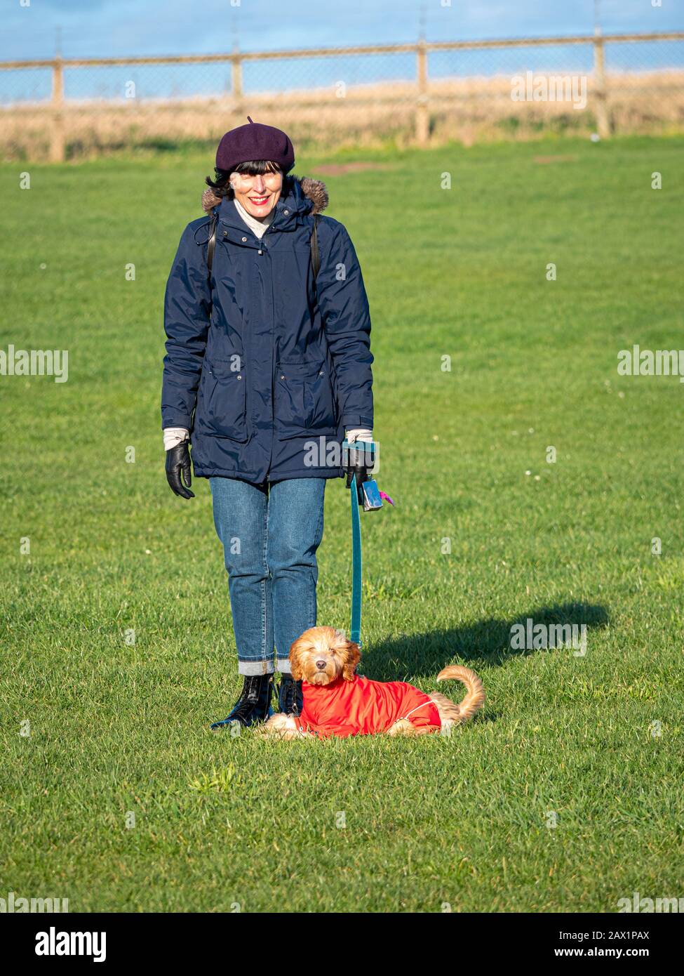 Donna caucasica che indossa un cappotto caldo e un berretto che cammina un cucciolo di cockapoo, indossando un cappotto rosso. Foto Stock