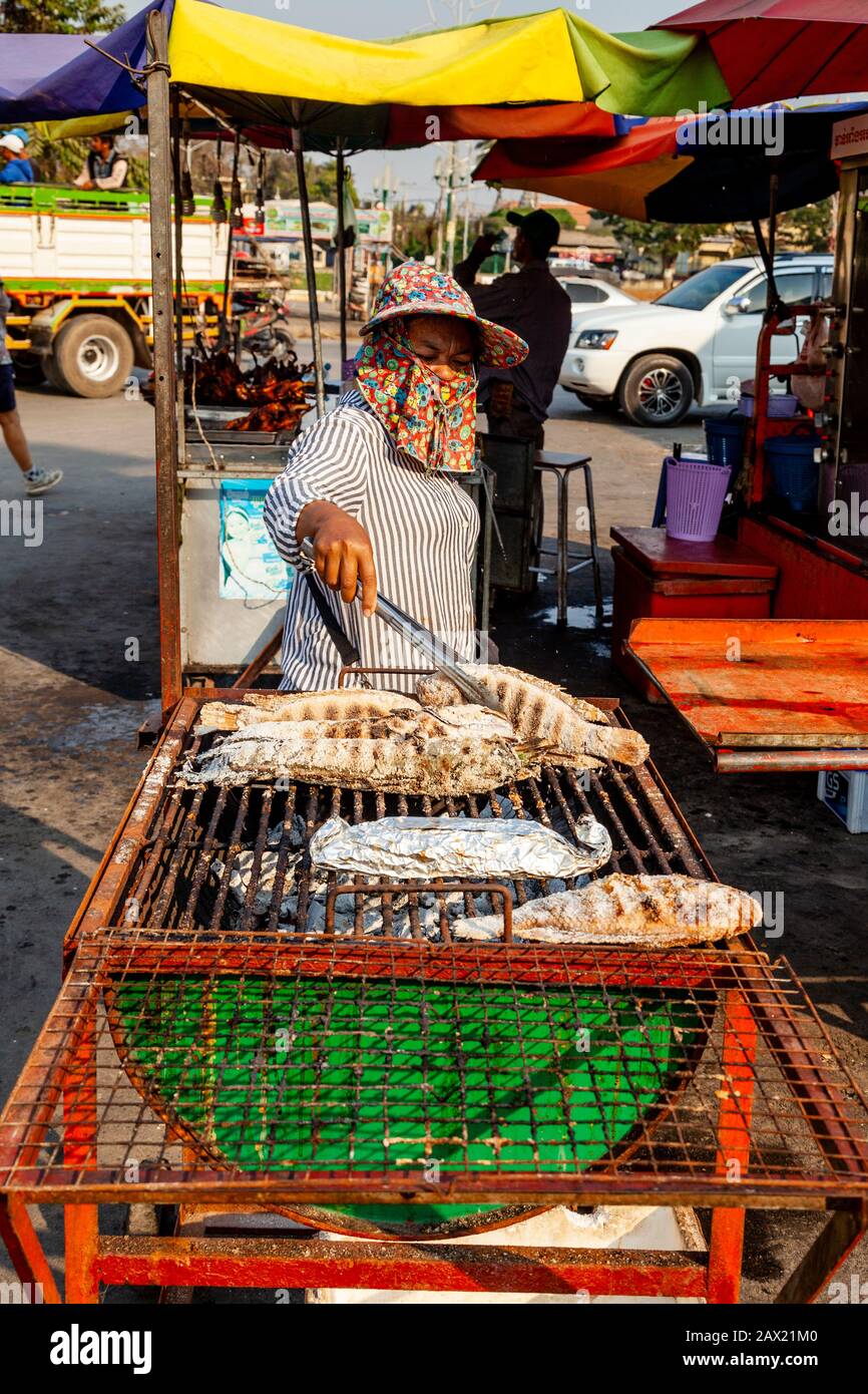 Una Donna Locale Cooks Fish On A Grill, Battambang, Cambogia. Foto Stock