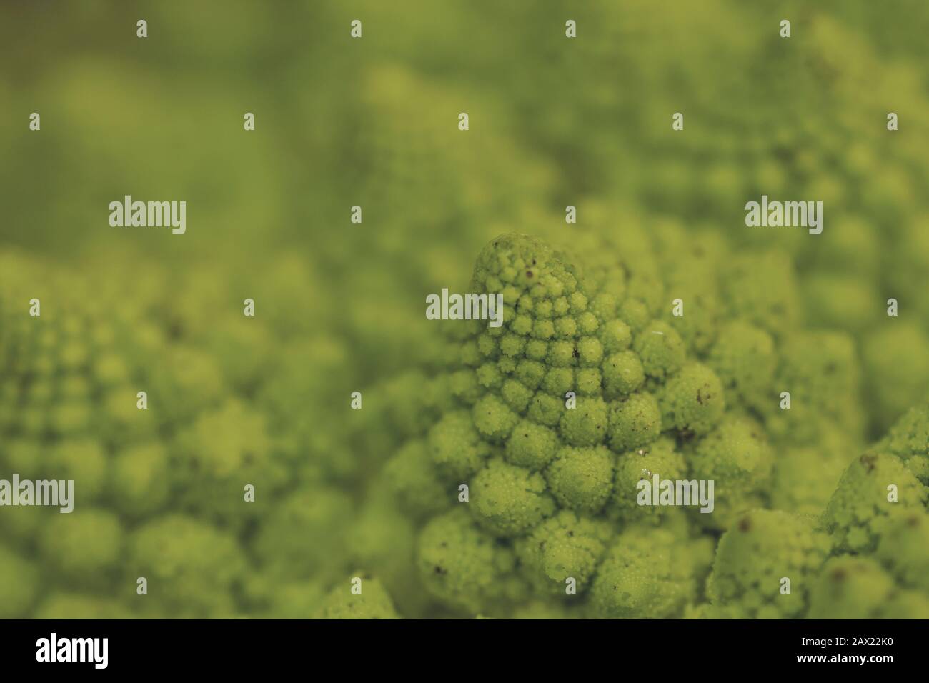 romanesco broccoli con spirali logaritmiche numero fibonacci, astratto sfondo natura Foto Stock
