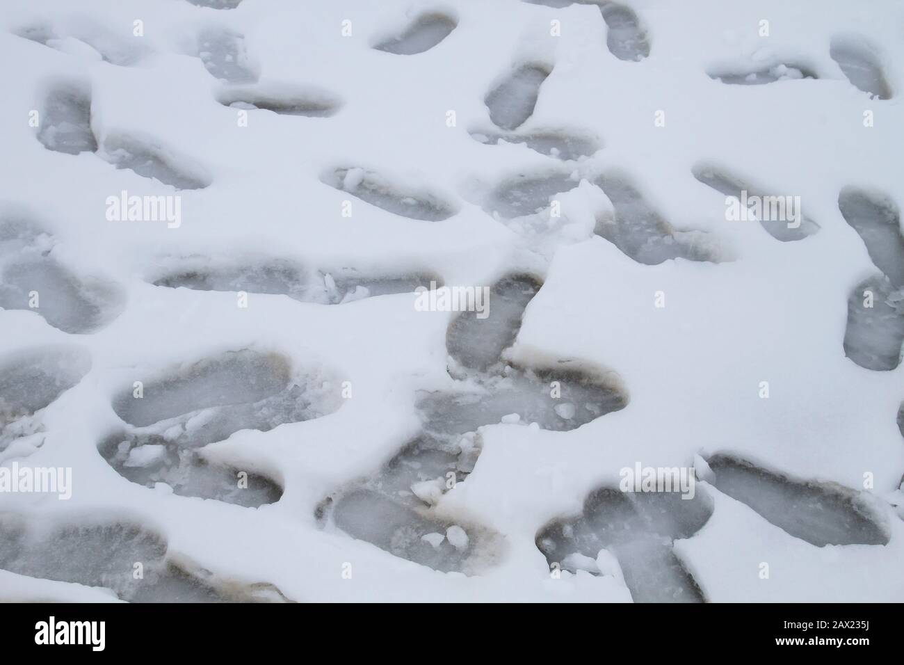Passi umani casuali sulla neve bianca Foto Stock
