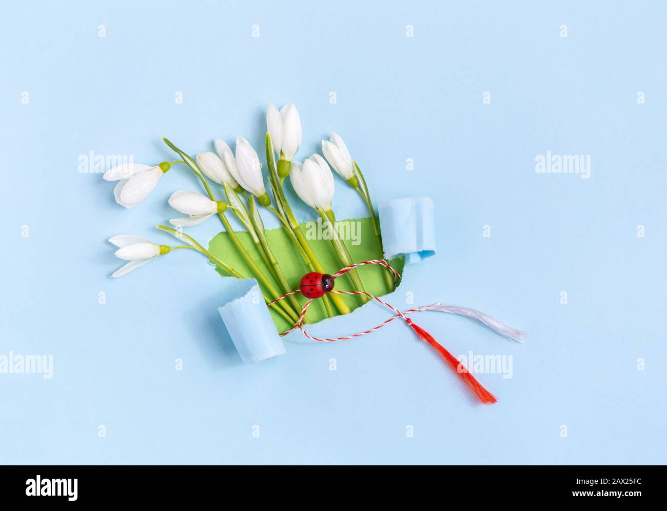 Biglietto d'auguri primaverile in carta strappata con fiori di collirio (Galanthus nivalis). 8 marzo, Martisor, Baba Marta concetto di vacanza. Inserire il testo Foto Stock