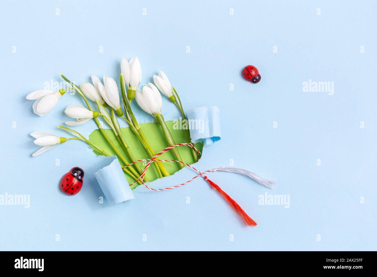 Biglietto d'auguri primaverile in carta strappata con fiori di collirio (Galanthus nivalis). Primavera, 8 marzo, Martisor, Baba Marta concetto di vacanza. Plac Foto Stock