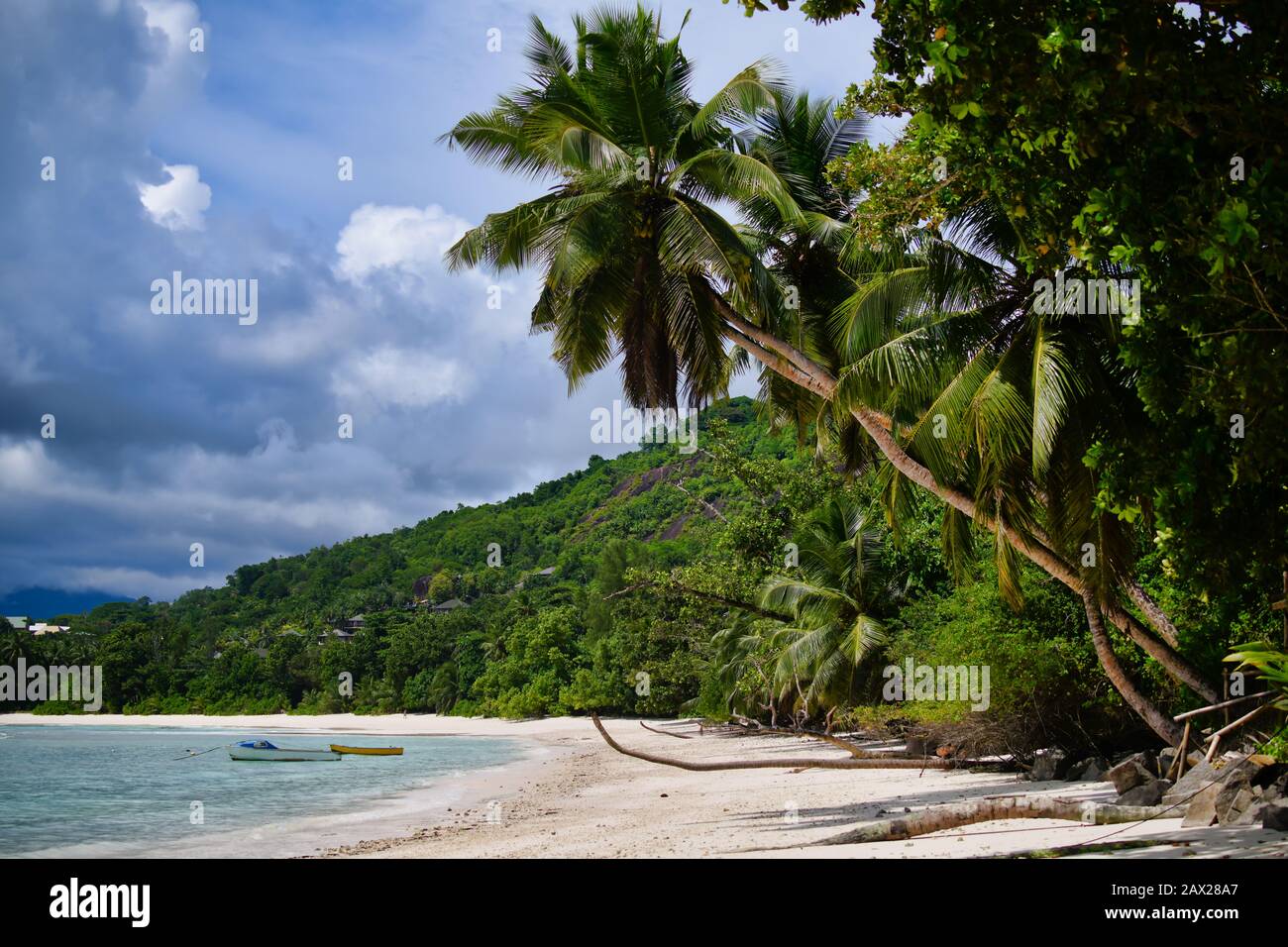 Seychelles Isola Mahe - Baie Lazare spiaggia, palme. Foto Stock