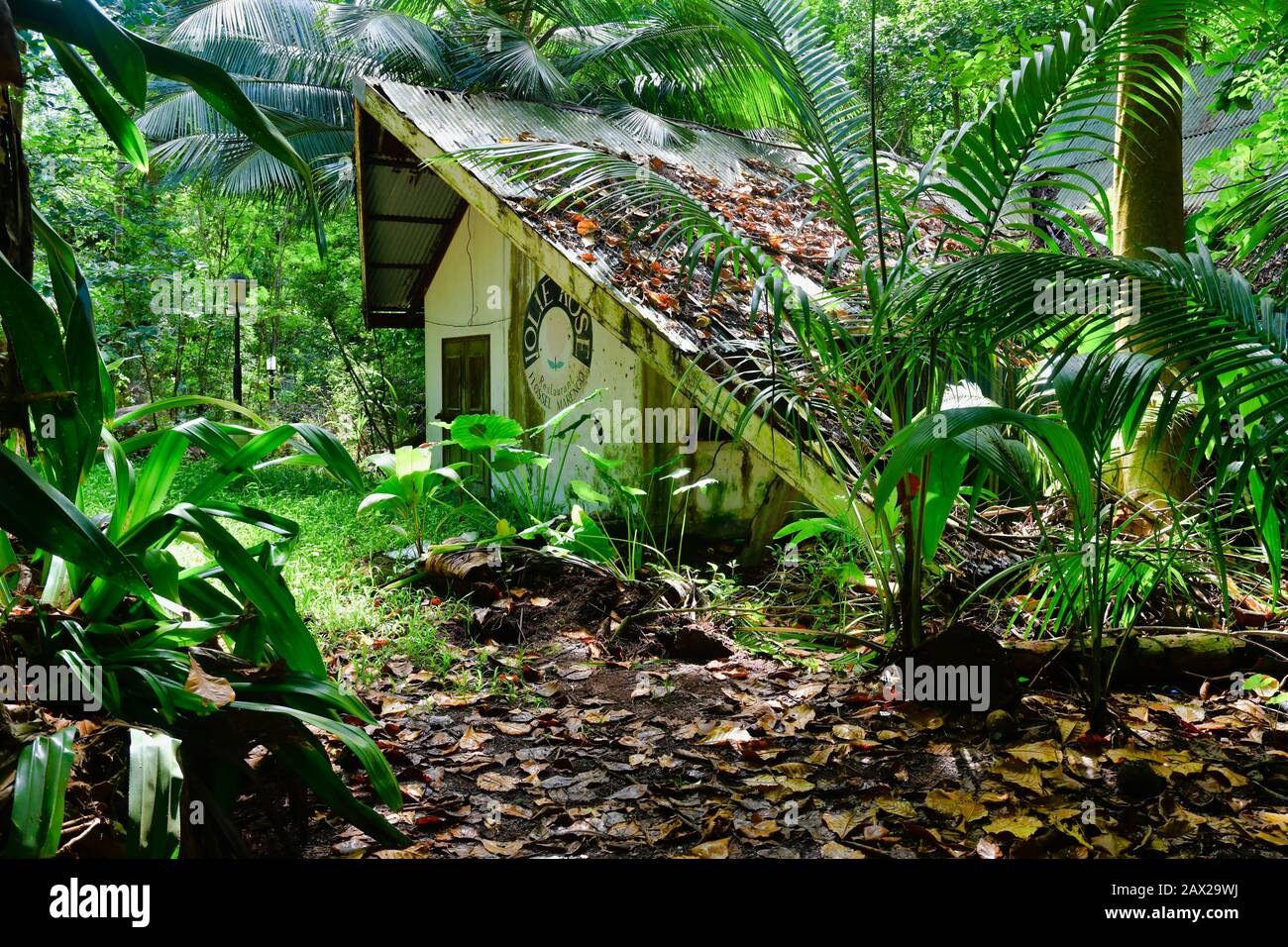 Isola Mahe Seychelles - Novembre 10th 2019: Vecchia casa abbandonata nella giungla. Foto Stock
