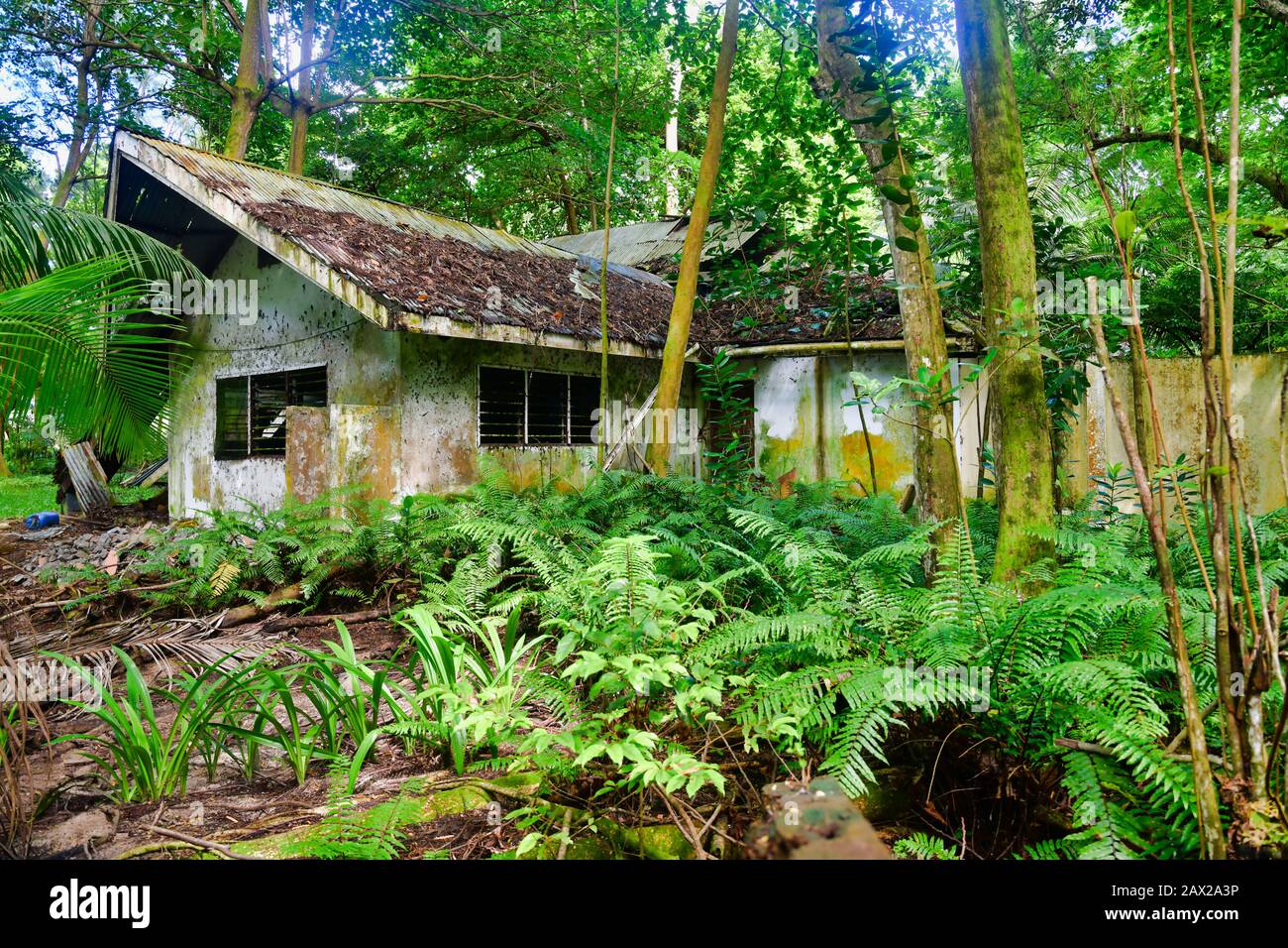 Isola Mahe Seychelles - Novembre 10th 2019: Vecchia casa abbandonata nella giungla. Foto Stock