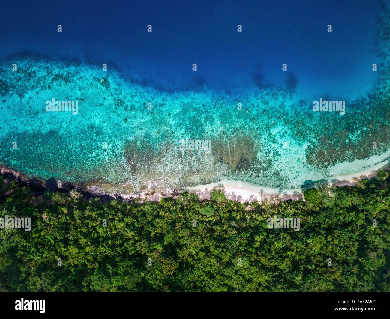 Paradiso tropicale dell'isola, vista aerea dall'alto dell'acqua turchese e della vegetazione lussureggiante da appartata spiaggia di sabbia bianca. Foto Stock