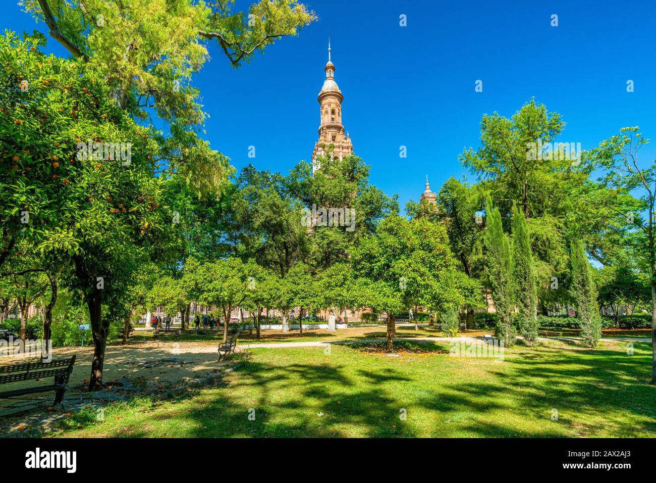 Il Parque de Maria Luisa (Parco Maria Luisa), famoso parco pubblico di Siviglia, con la torre di Plaza de Espana. Andalusia, Spagna. Foto Stock