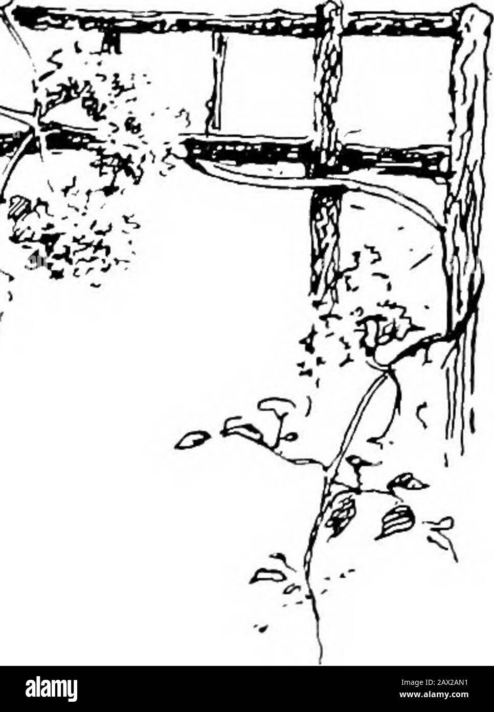 Il giardino che abbiamo fatto . e per descrivere thespot ; e, inoltre, sono convinto che uno è amplyrepaid per il tempo e i soldi che si spende per il giardinaggio.Let me all'inizio chiedere ai miei lettori indulgenza per le manchevolissime carenze come un autore. Sì, una volta c'era un castello. Fu costruito a Scanialand, nel sud della Svezia, e aveva una delle situazioni più belle del mondo. Ma quando mio marito ed io l'abbiamo dato, c'era scarcelything nel senso dei fiori, e l'intero posto gaveone l'impressione di essere la foresta incantata in cui la principessa fiabesca ancora dormiva. Sh Foto Stock