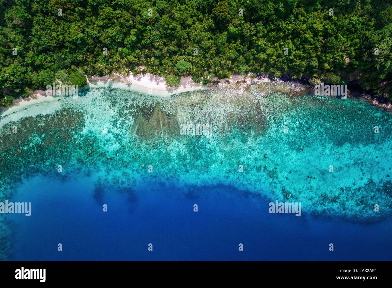 Paradiso tropicale dell'isola, vista aerea dall'alto sulle acque turchesi e la vegetazione lussureggiante da appartata spiaggia di sabbia bianca. Foto Stock