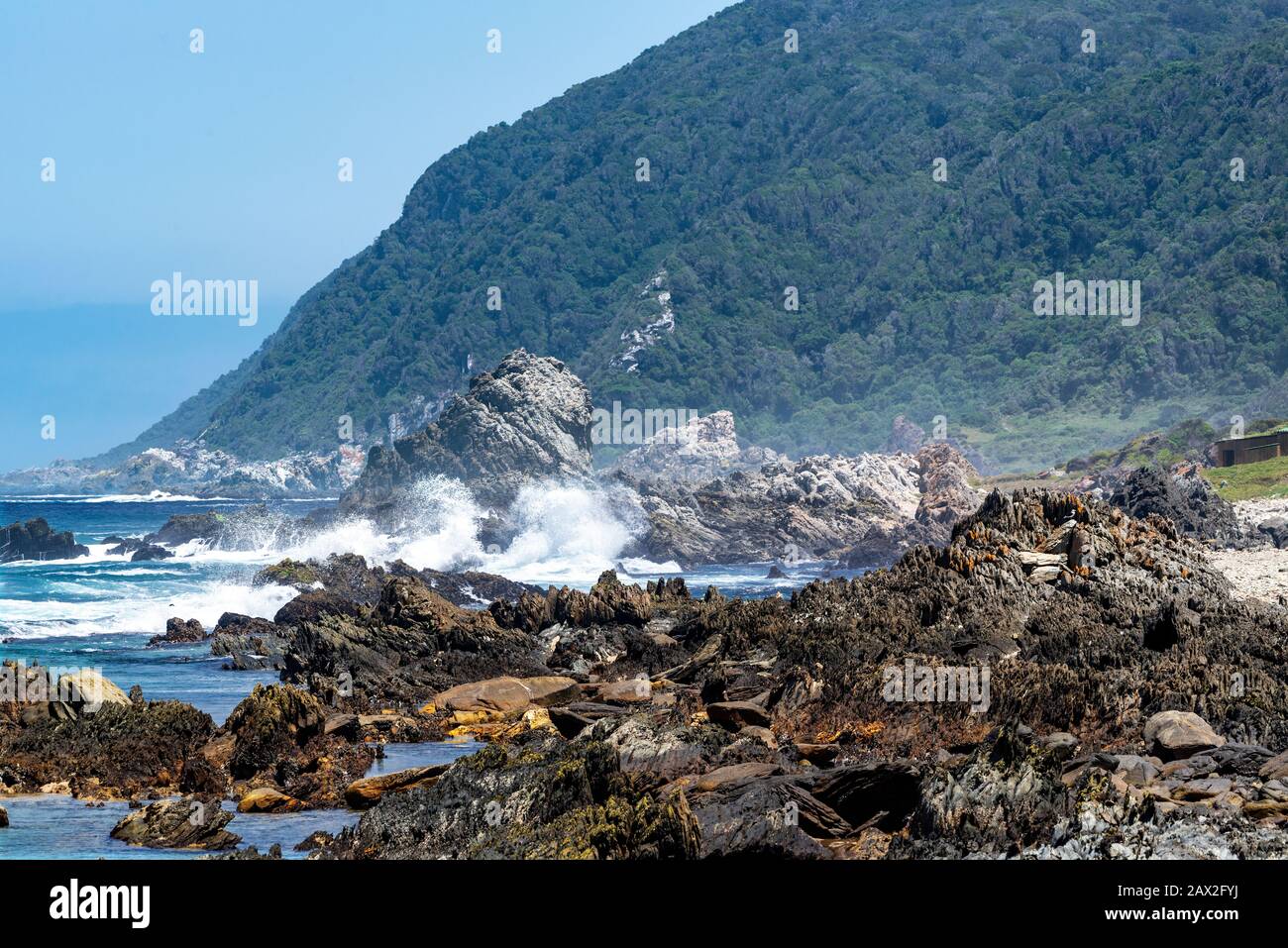 Due uomini che tentano di fare snorkeling sulla costa rocciosa a Tempeste River Mouth Rest Camp, Tsitsikamma Sezione del Garden Route National Park, Sud Africa Foto Stock