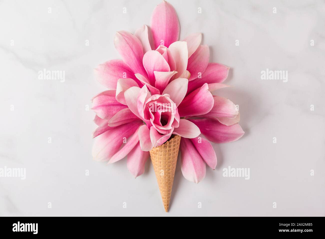 Cono gelato con fiori di magnolia rosa primavera composizione su sfondo bianco. Concetto di molla minimo. Vista dall'alto a disposizione piatta Foto Stock