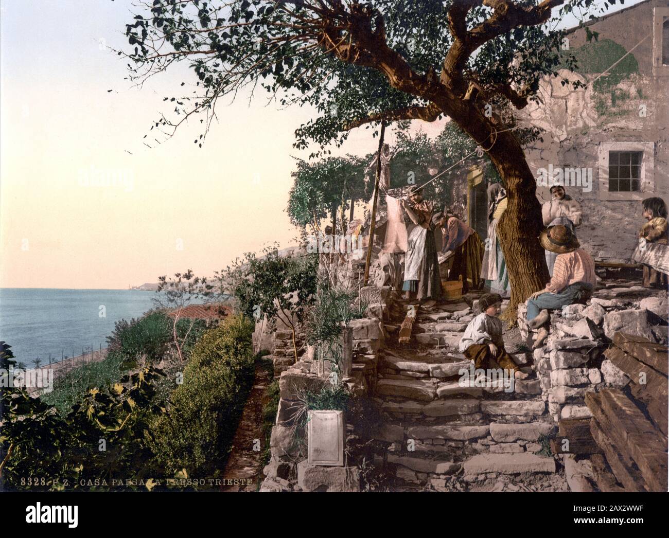 1895 ca, TRIESTE, ITALIA : una casa di paesants vicino Trieste quando era sotto l'Istria , Austro-Ungheria . Photocrom by Detroit Publishing Co. , USA - ITALIA - GEOGRAFIA - GEOGRAFIA - FOTO STORICHE - STORIA - MARE - mare - ARCHITETTURA - ARCHITETTURA - MARE - MARE - OTTOCENTO - XIX SECOLO - 800's - '800 - CASA DI contatti - contadino - - - -- - Archivio GBB Foto Stock