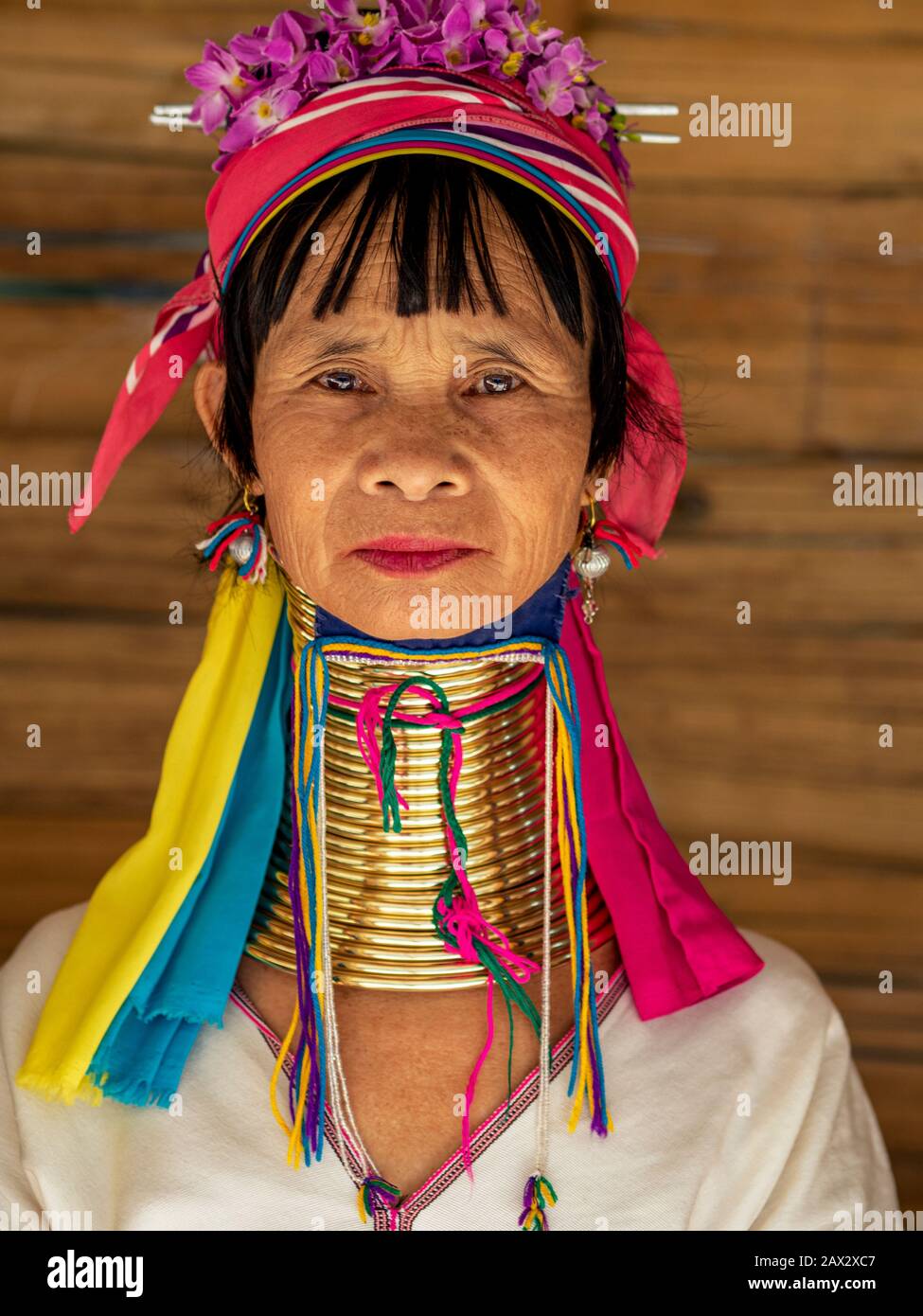 Provincia di Chiang Rai, Thailandia, ritratto di Karen Long Neck donna al villaggio tribù collina vicino a Chiang Rai. Foto Stock