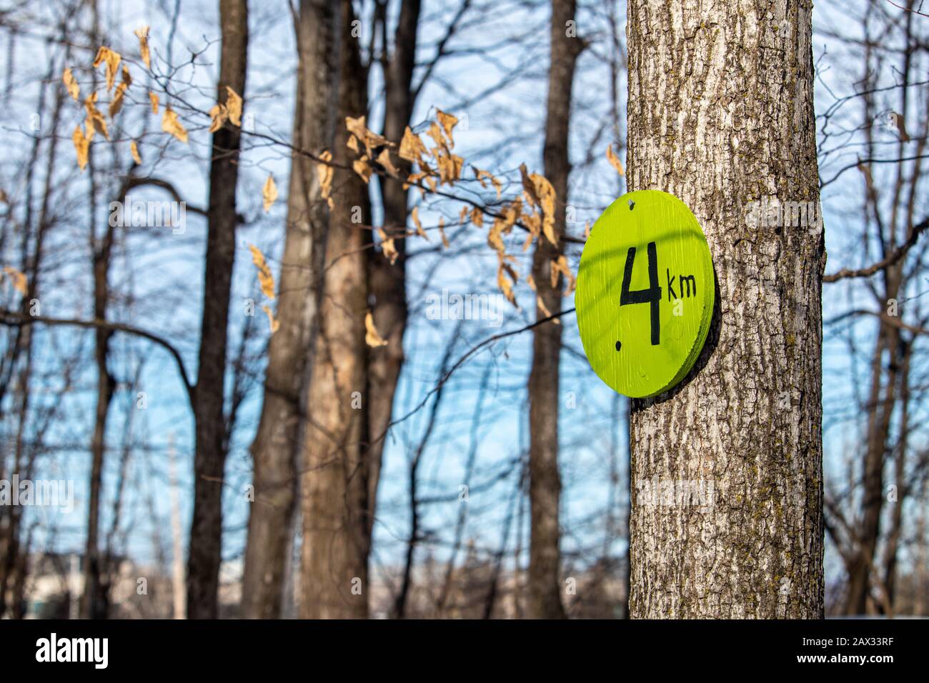 Un cartello in legno serve da segnavia dal suo monte inchiodato ad un albero. Il pennarello è dipinto di verde e indica "4 km" o quattro chilometri. Foto Stock