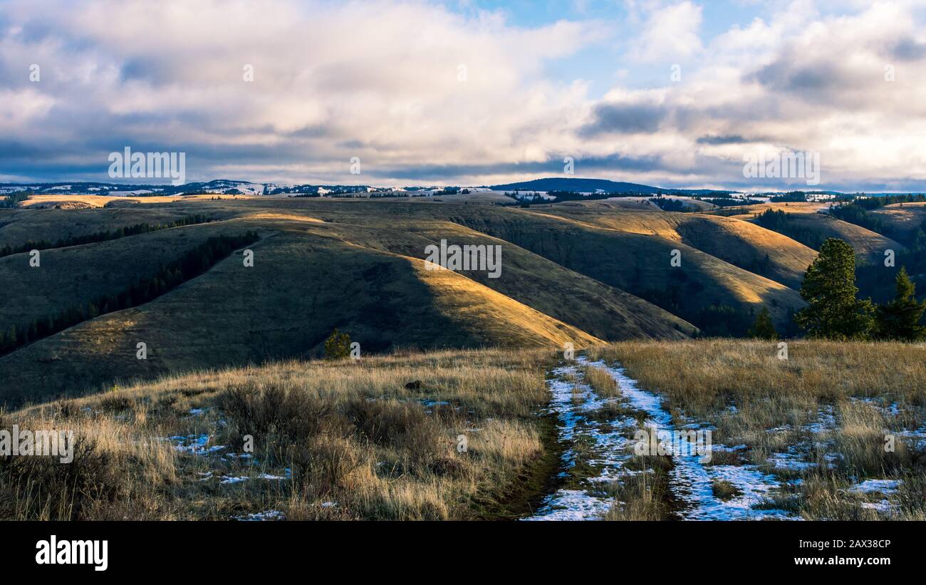 Emigrant Springs State Heritage Area, Oregon Foto Stock