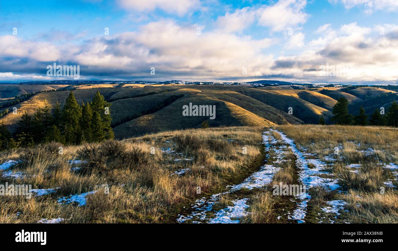 Emigrant Springs State Heritage Area, Oregon Foto Stock