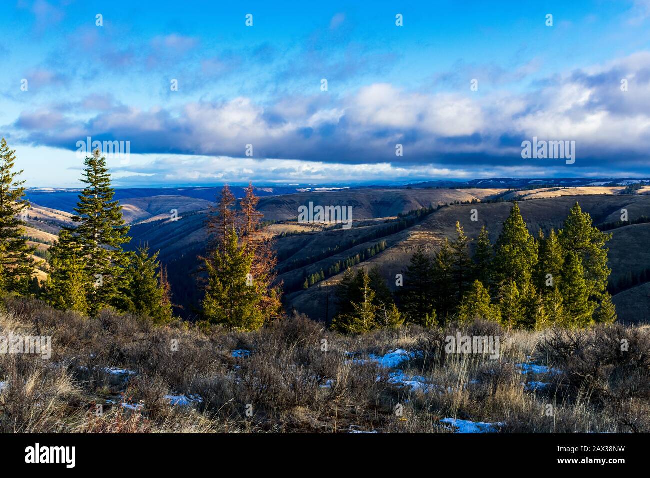 Emigrant Springs State Heritage Area, Oregon Foto Stock