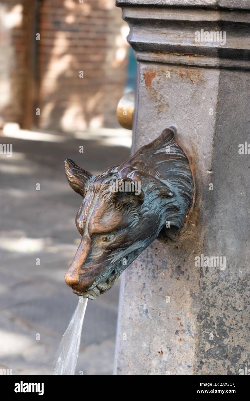 Fox head fontana d'acqua Siena, Toscana, Italia Foto Stock