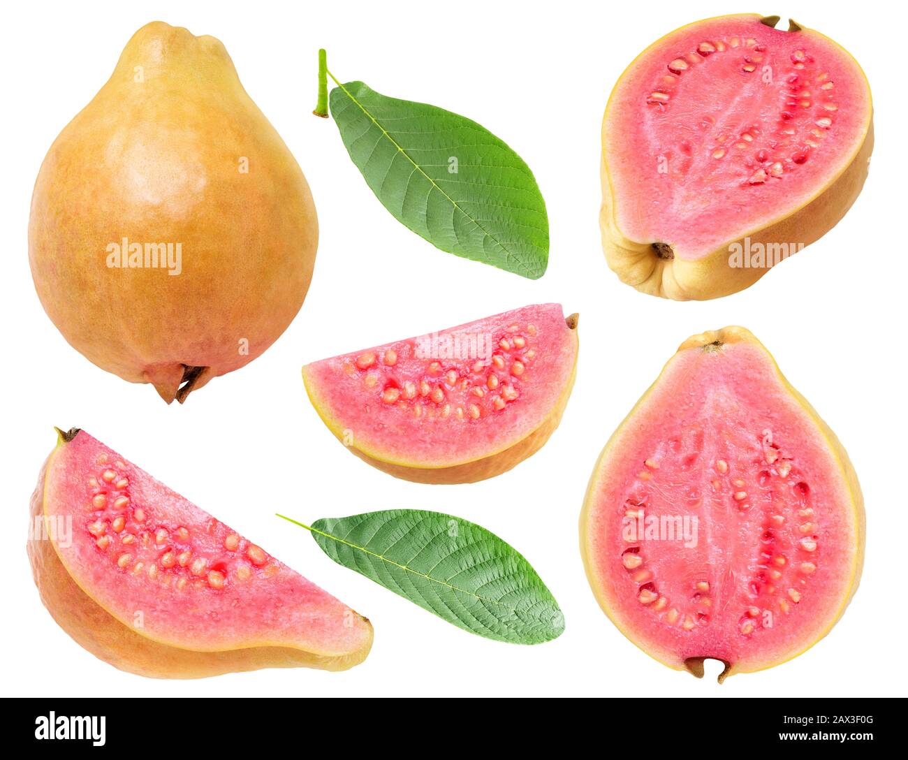 Guava isolata. Raccolta di fette di frutta di guava rosa carnata, isolate su sfondo bianco con sentiero di taglio Foto Stock