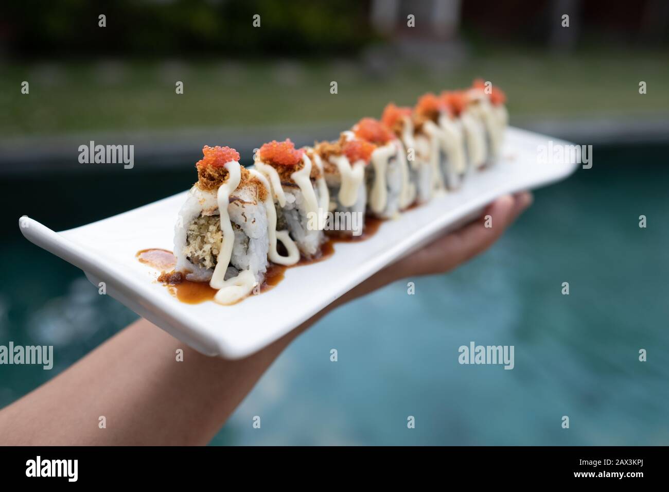 Primo piano di qualcuno che tiene un vassoio di diversi tipi di sushi Foto Stock