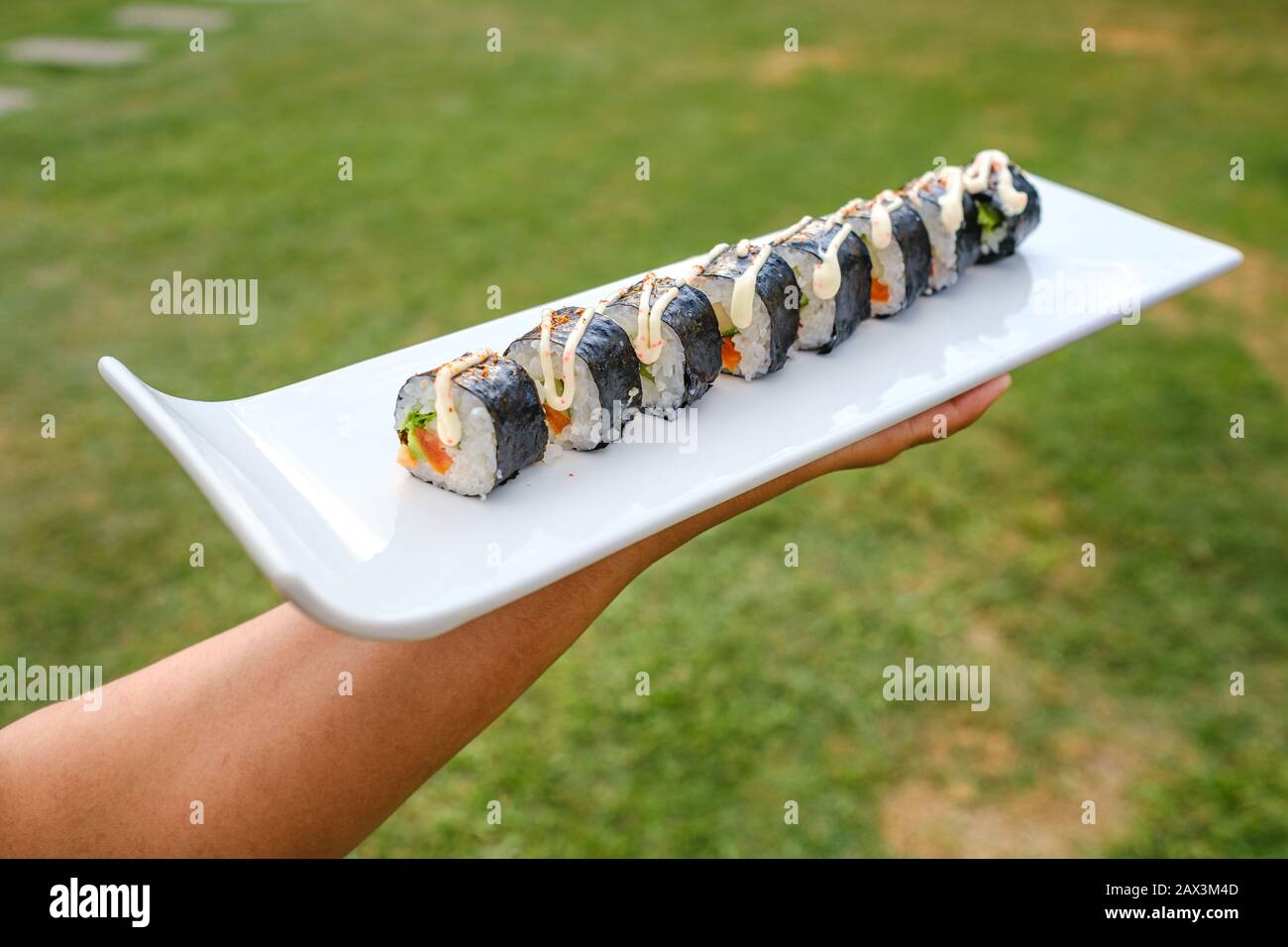 Primo piano di qualcuno che tiene un vassoio di diversi tipi di sushi Foto Stock