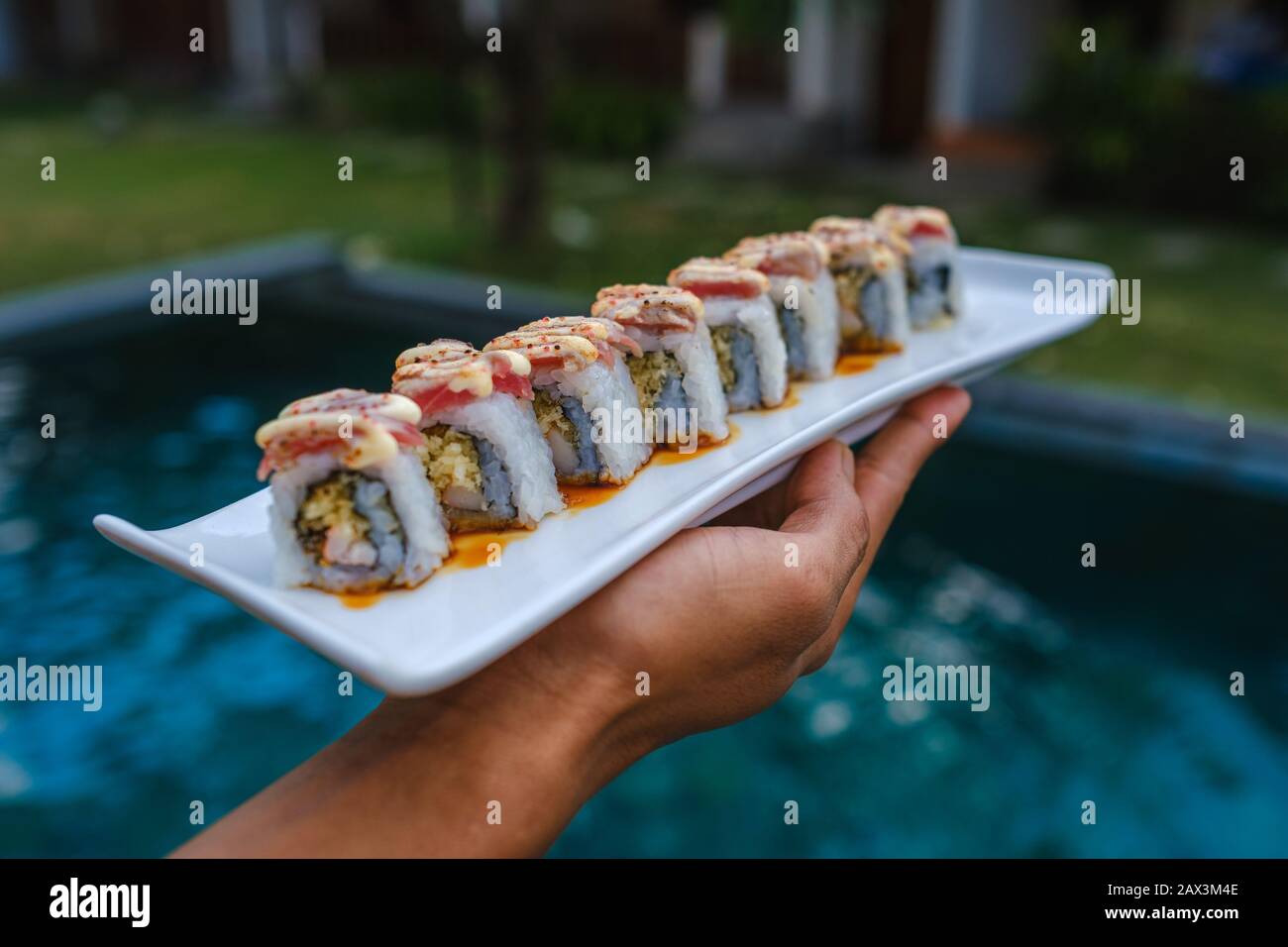 Primo piano di qualcuno che tiene un vassoio di diversi tipi di sushi Foto Stock