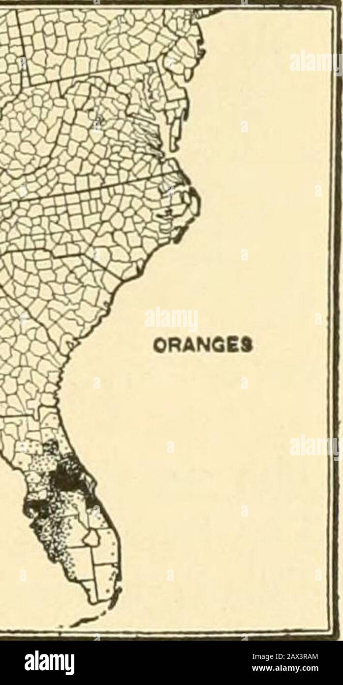 Orticoltura, un libro di testo per le scuole superiori e le normali, compresa la propagazione delle piante; . Fig. 194. - Mappe che mostrano alberi di età cuscinetto e più giovani. Ogni punto è per 100 acri di alberi, tranne in D per 50 acri ed e per 500 acri. I limoni sono prodotti principalmente nella California meridionale, dove la maggior parte del raccolto è cresciuto lungo le colline ai piedi della costa occidentale. I limes negli Stati Uniti sono cresciuti commercialmente soltanto nella punta del thesoulhern della Florida e nelle isole e chiavi adiacenti. Il pompelmo (pomelo) è il ringhiere della Florida, dove il frutto raggiunge un sapore eccellente. Il settore è in aumento Foto Stock