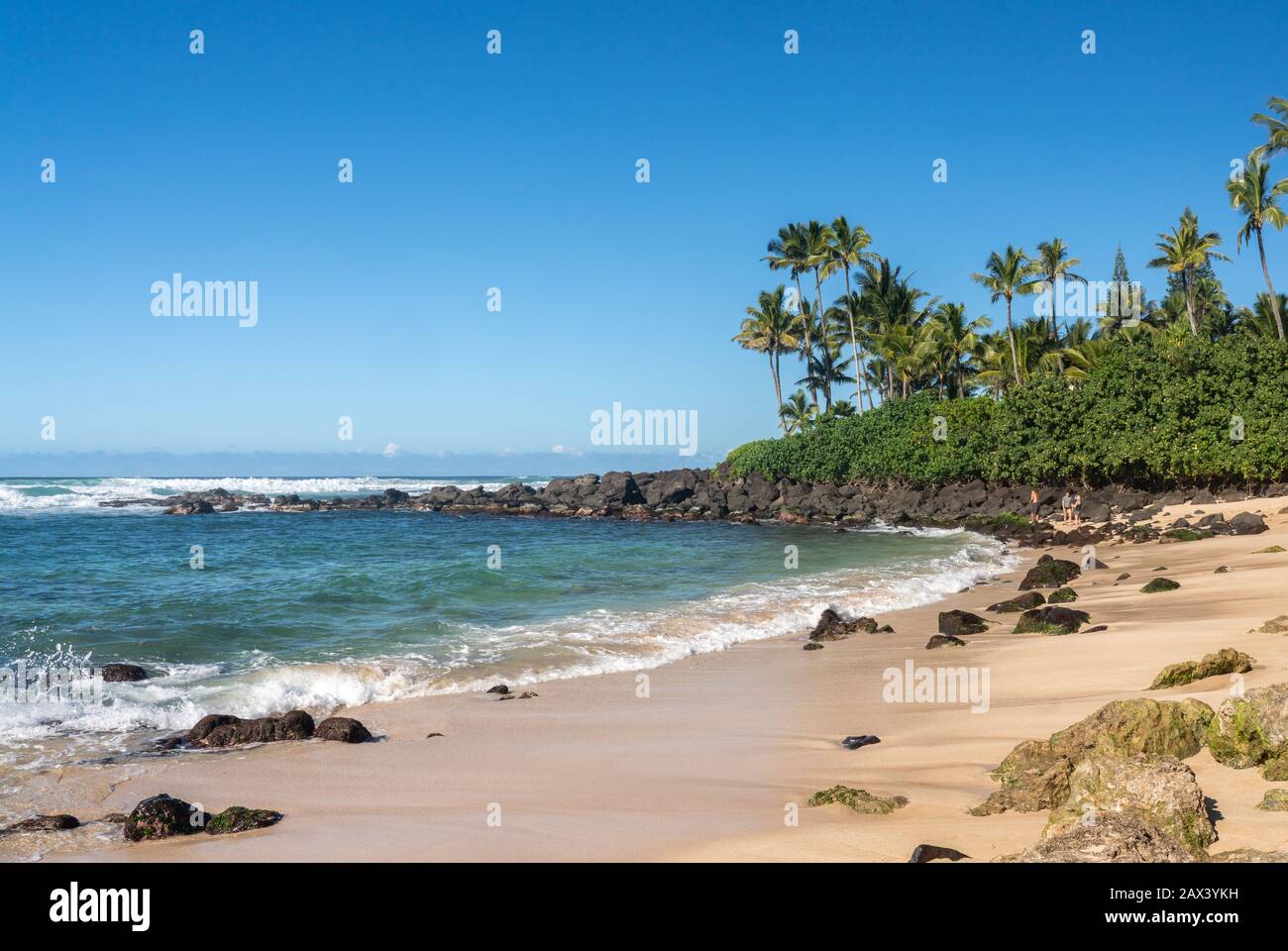 Spiaggia di Laniakea vicino a Haleiwa sulla costa nord di Oahu nelle Hawaii Foto Stock